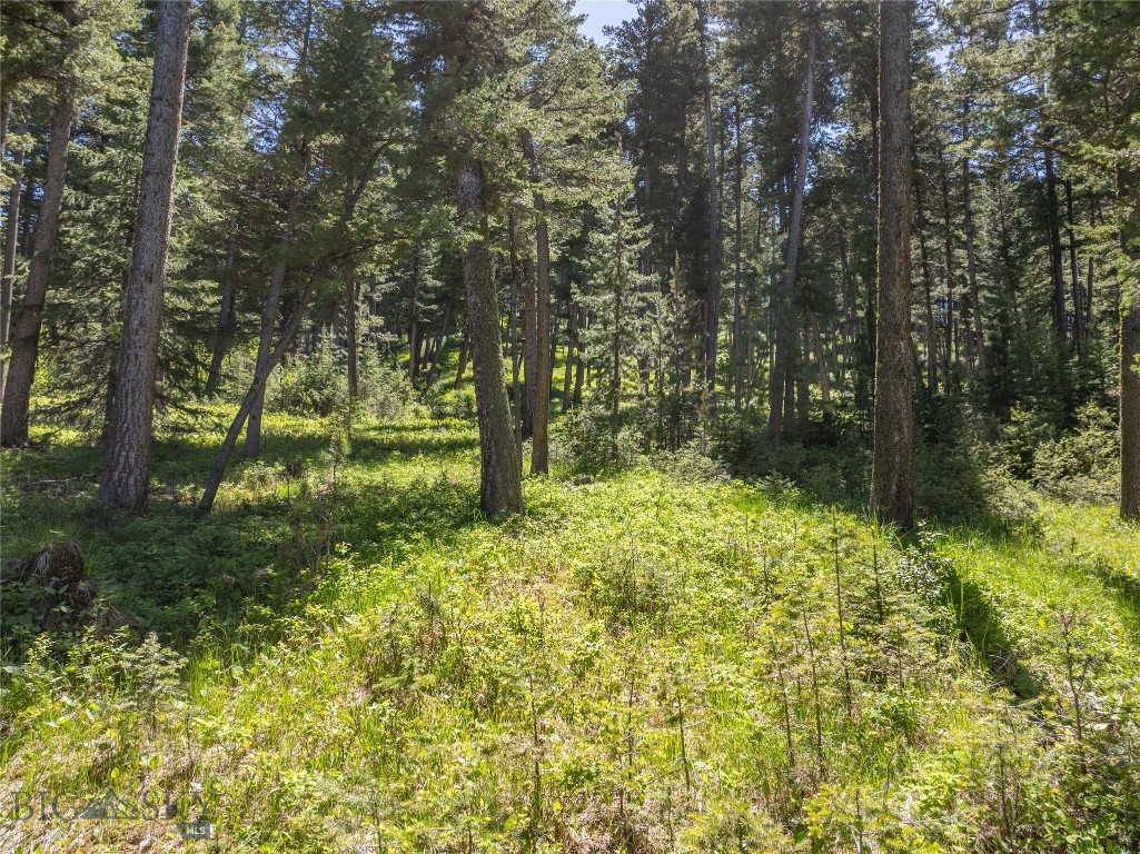 Eagle Rock Reserve - Residential