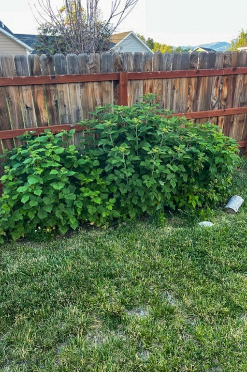 Meadowlark Ranch - Residential