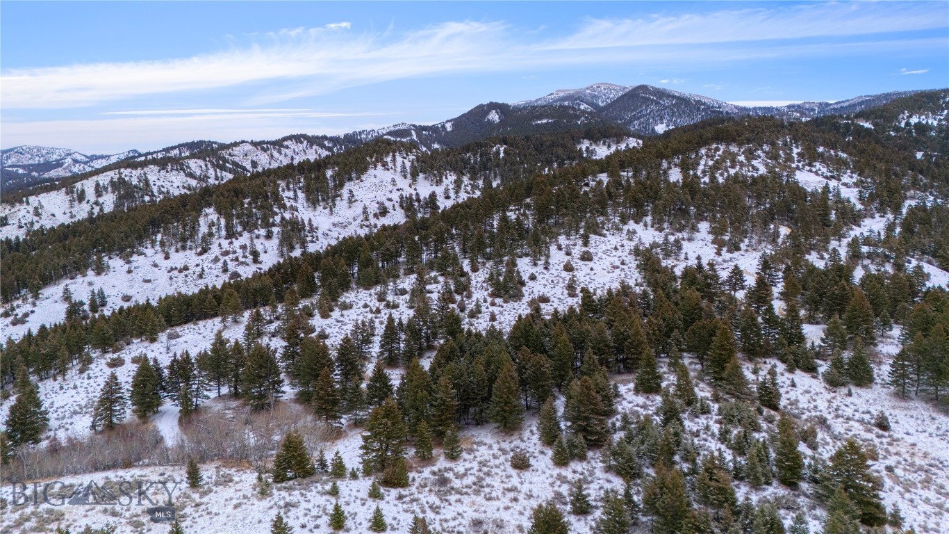 Certificate Of Survey COS - Land