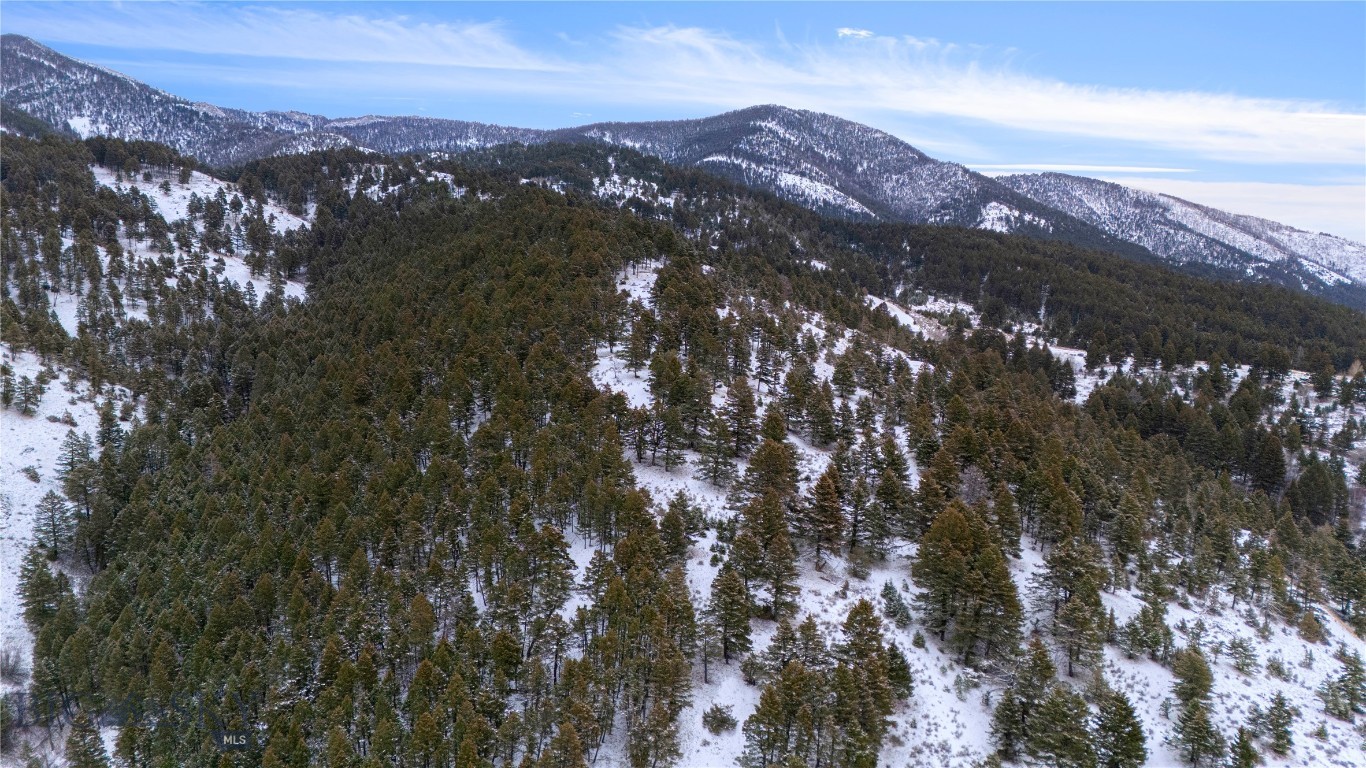 Certificate Of Survey COS - Land