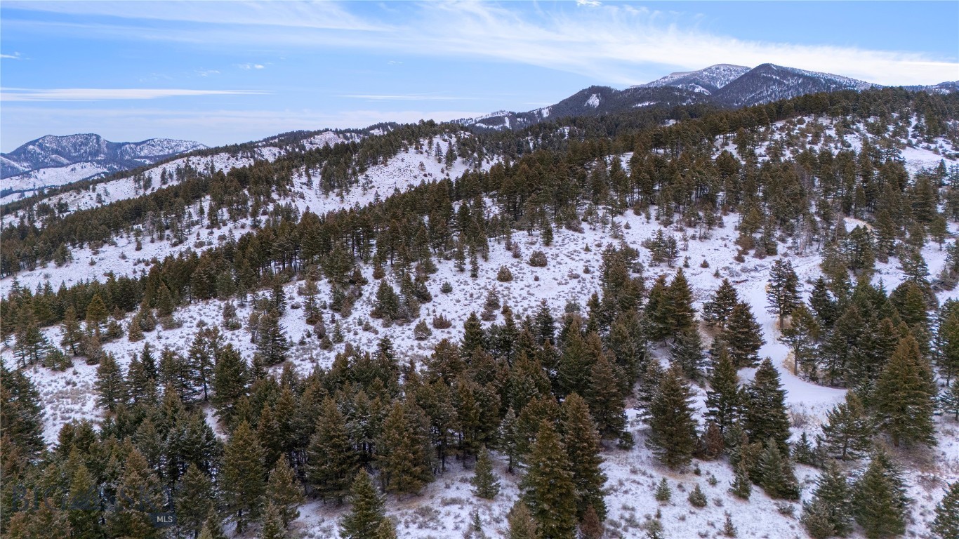 Certificate Of Survey COS - Land