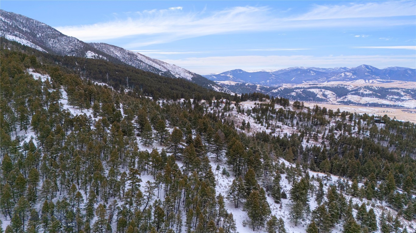 Certificate Of Survey COS - Land