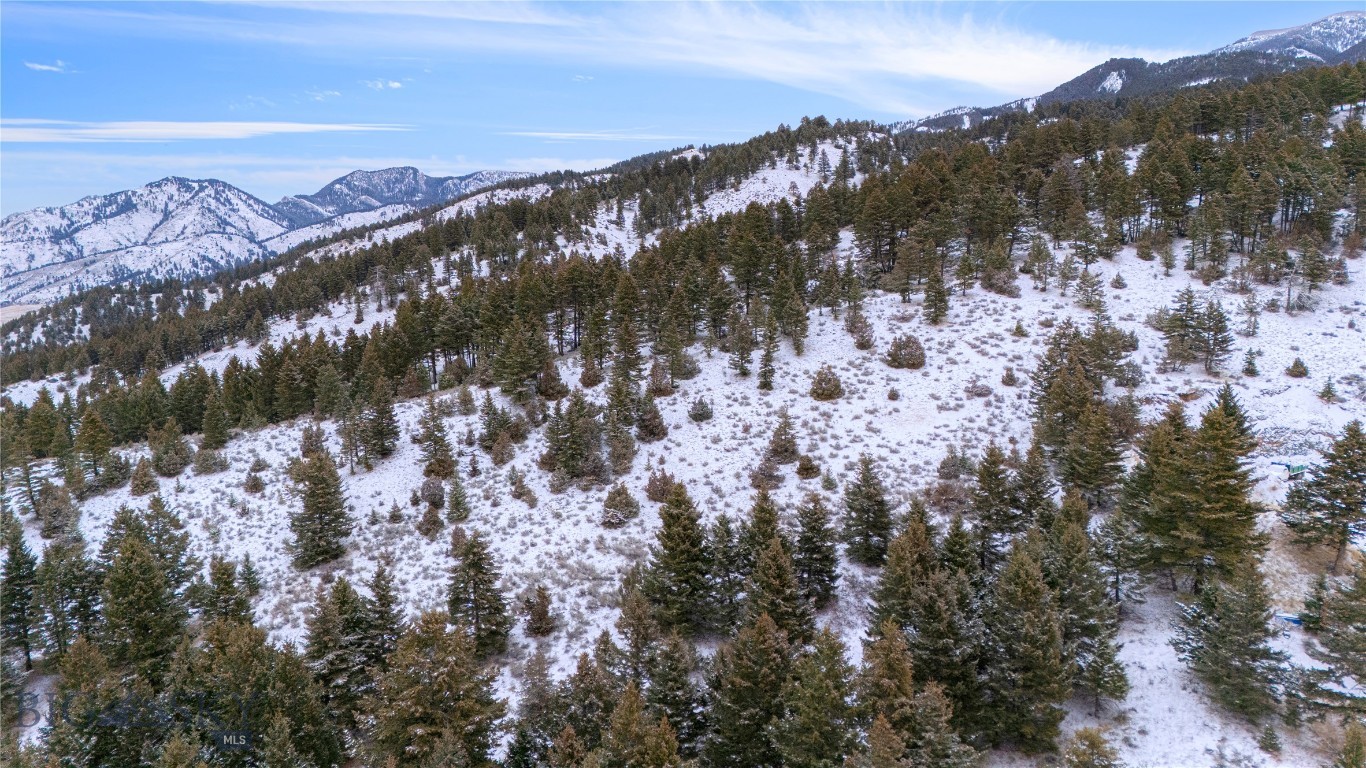 Certificate Of Survey COS - Land