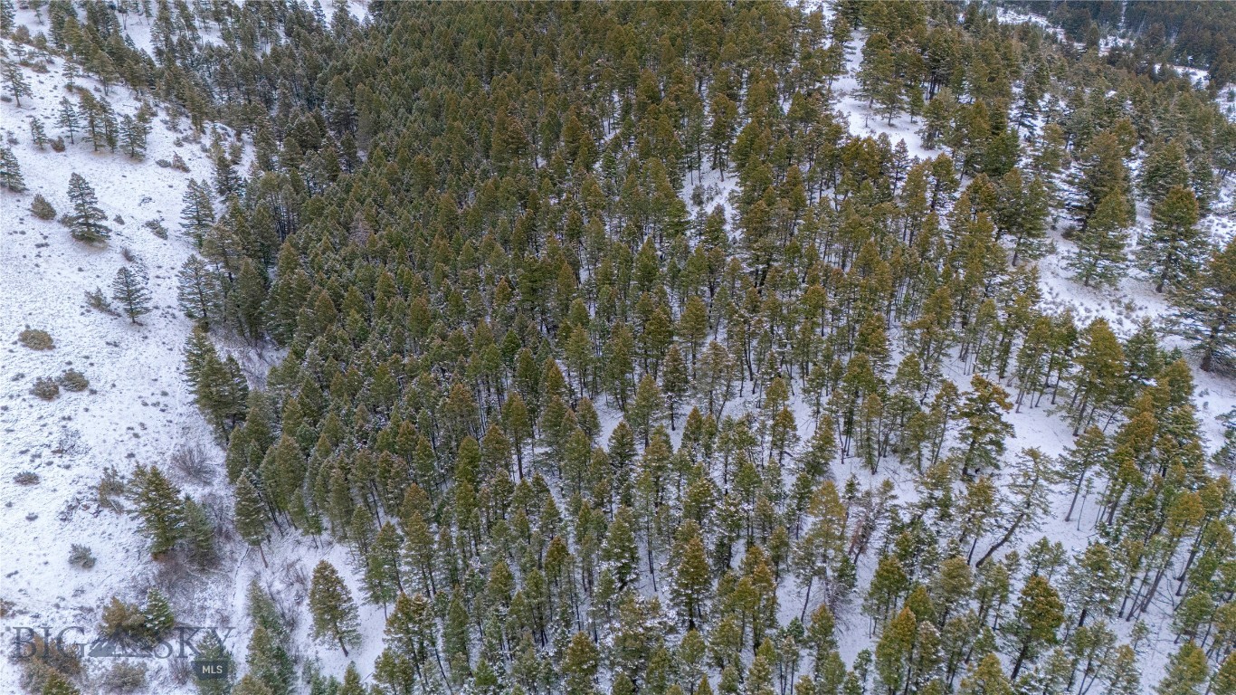 Certificate Of Survey COS - Land