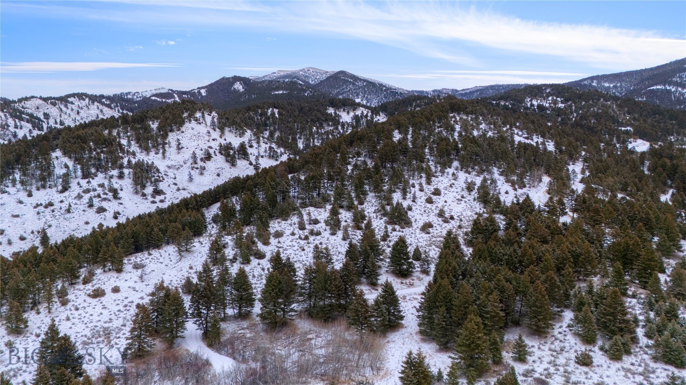 Certificate Of Survey COS - Land