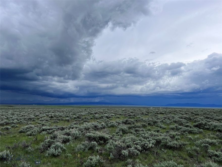 Located in the heart of Big Hole Country near the small quaint town of Wisdom, MT are a cluster of 20+ acre parcels that will make you an excellent location for your new home. Some parcels are bordered by a ranch under a conservation easement helping to protect magnificent mountain views, seclusion and privacy. Call listing agent for a full list of available lots!! Sub-division accessed by the county maintained Steel Creek Road, you are only minutes from National Forest lands adding tens of thousands of acres awaiting your exploration. The historic Big Hole Battlefield, Elkhorn Hot Springs, Jackson Hot Springs, Crystal Park, Chief Joseph Cross Country Ski Trails & Maverick Ski hill, Bannack State Park, Kayaking & Canoeing, River Rafting, and of course.....Montana Blue Ribbon Trout fishing could all be a part of your new playground. The properties have level ground, draws and gently sloping foothills creating interesting topography and power is available in the area. In Montana you don't just buy a property - you purchase a new lifestyle. Don't miss this opportunity to begin your new life today.