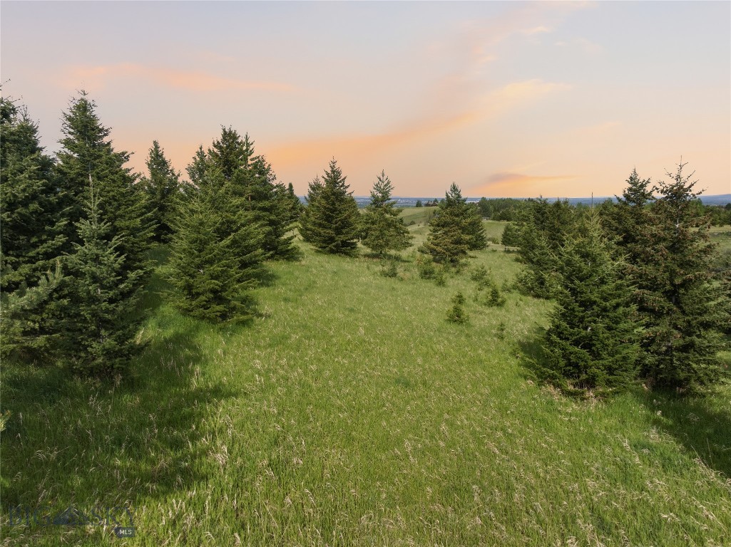 Grandview Heights - Land