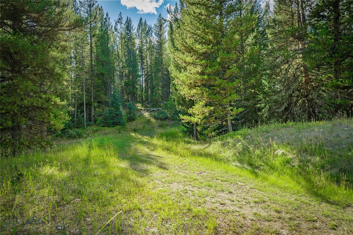 Other - Land