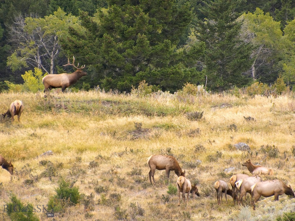 Madison Addition - Commercial Sale