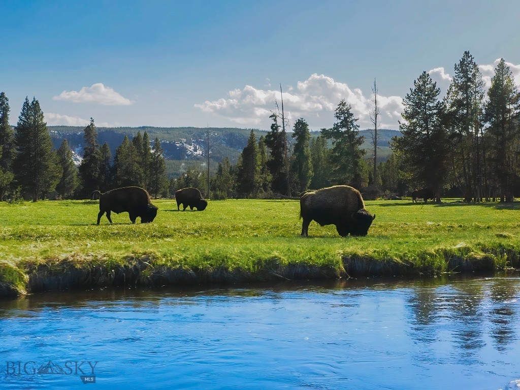 Madison Addition - Commercial Sale