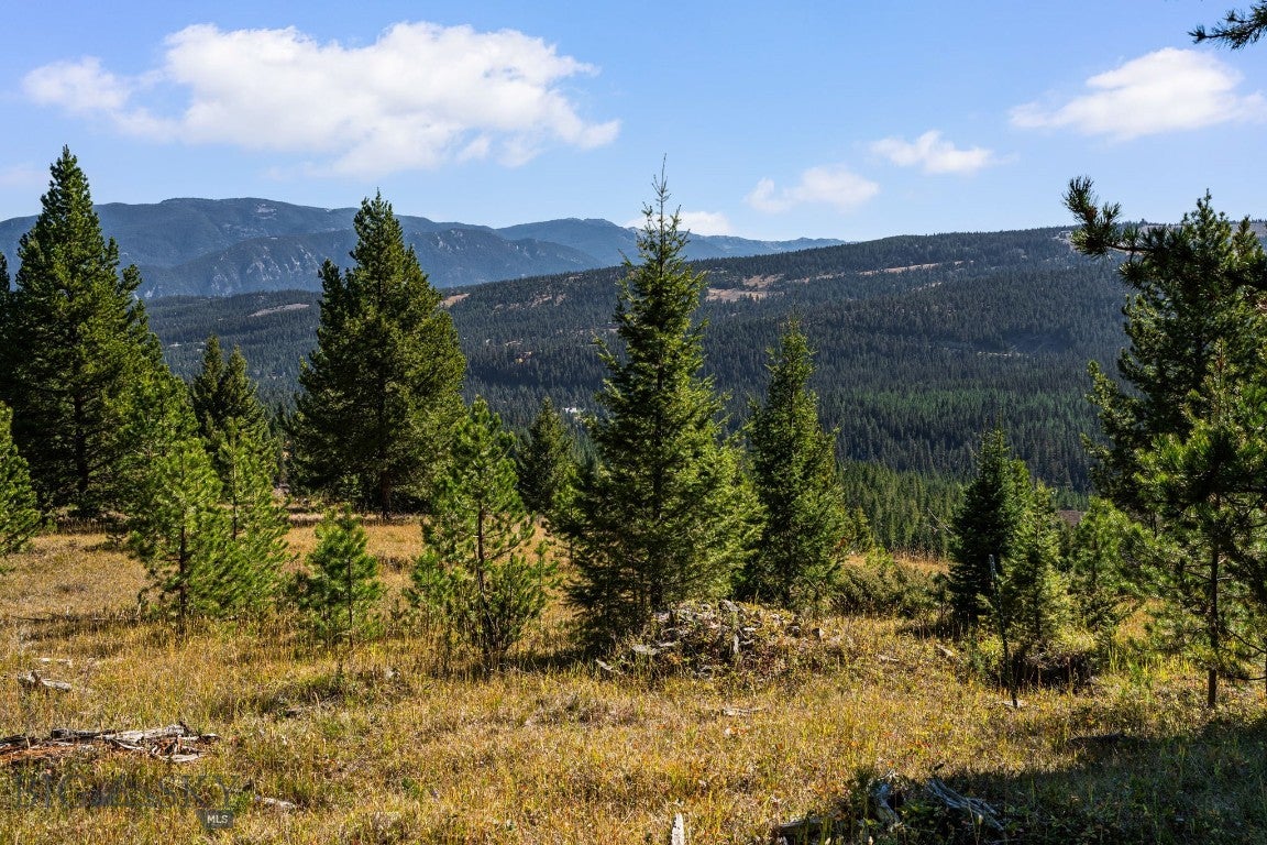 Lot 106 W Elk Valley Road