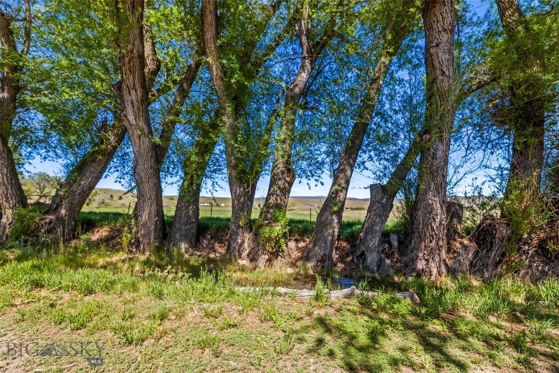Mountain View Estates - Livingston - Residential