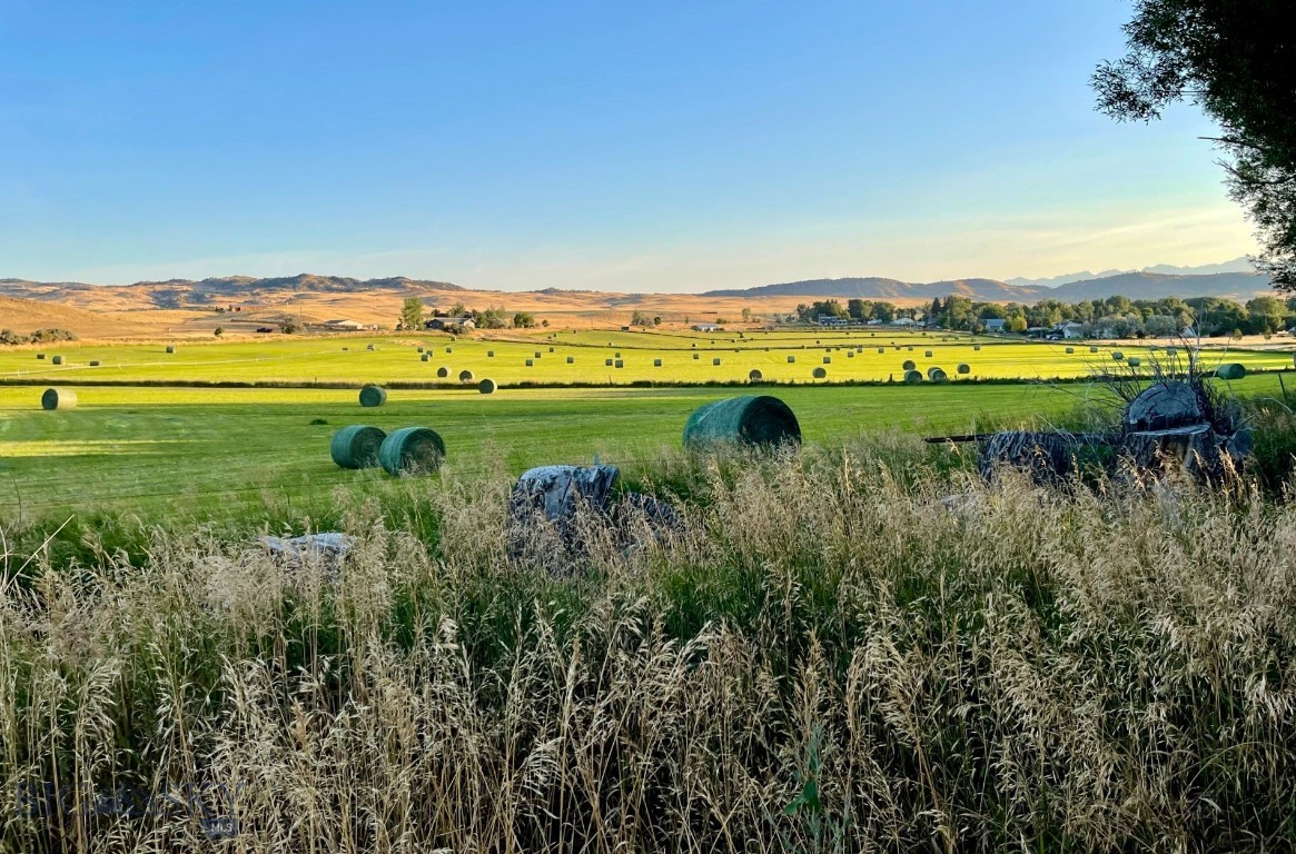 Mountain View Estates - Livingston - Residential