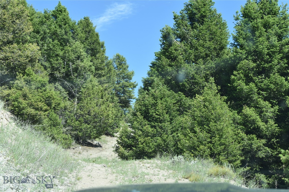TBD Meadow Gulch Road