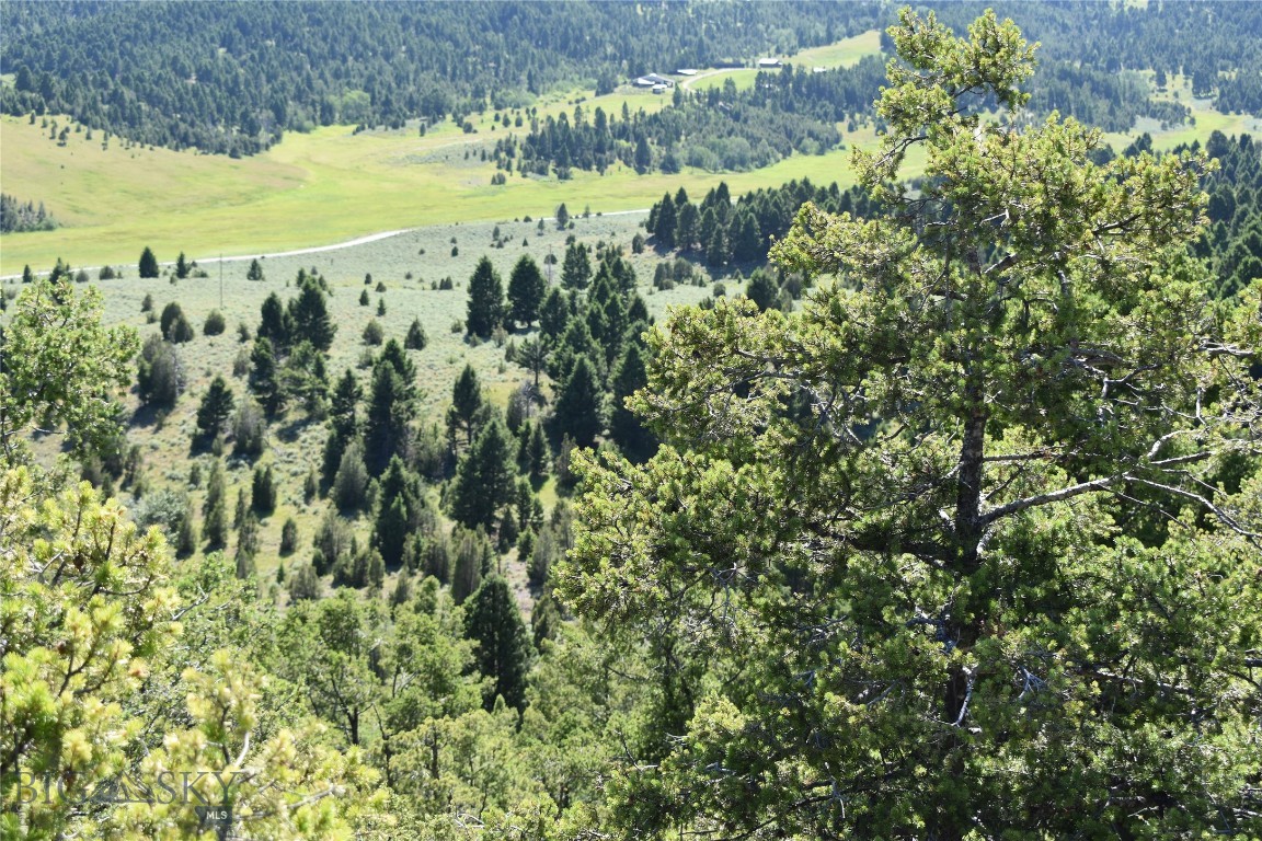 TBD Meadow Gulch Road