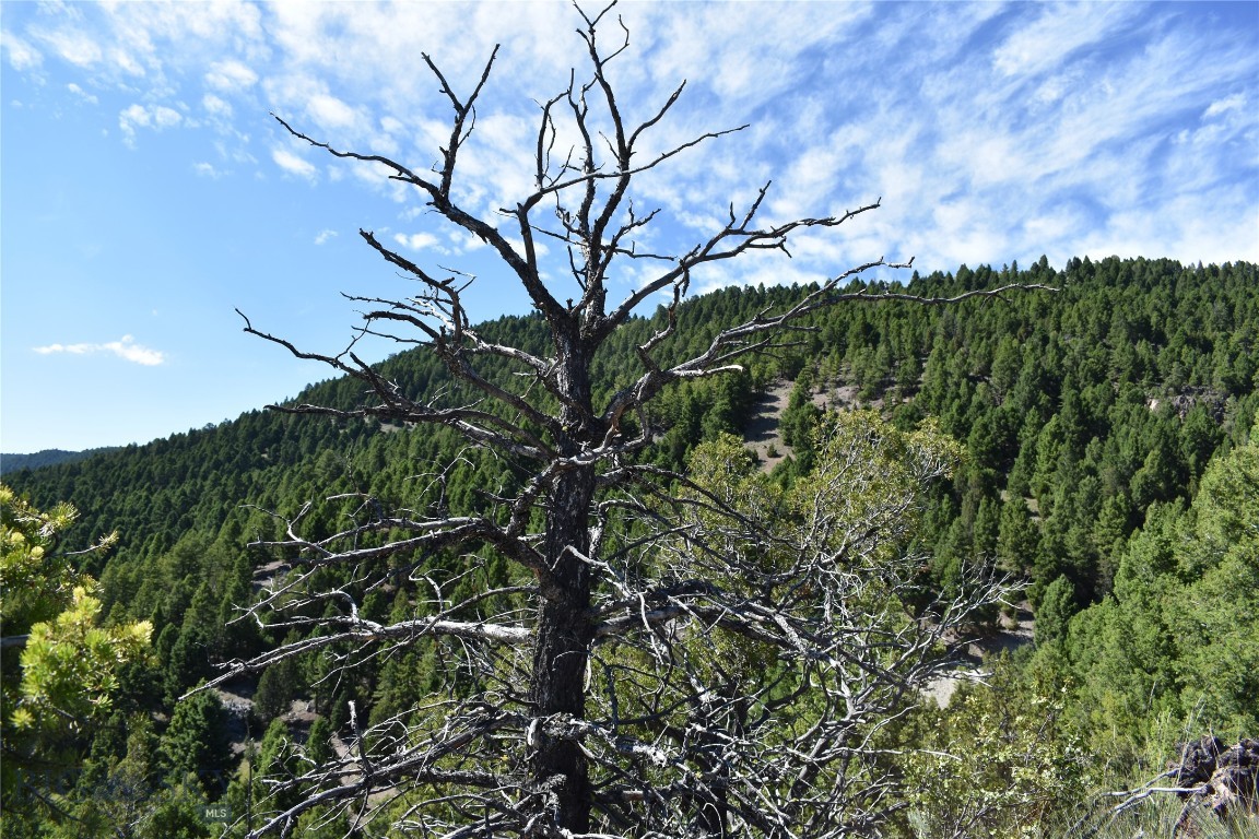 TBD Meadow Gulch Road