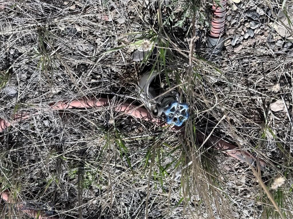 Paradise Ranch Tracts - Land