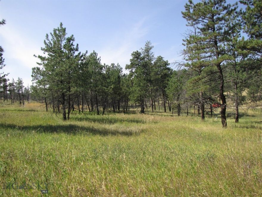 Is Montana calling you to a secluded get-away, a place to relax in the quiet of a forest? These 40 acres could be the place! There is an old well on the property that may be usable! Phone and Fiber optic lines along Lazy R Way! This property could work for an off-grid cabin or a home far from the city lights. The 40 acres is in two parcels and offers a very private setting, with lots of Ponderosa Pines and some beautiful meadows. Located in the rolling pine hills of the Bull Mountains about 15 miles south of Roundup (pop 2000) and just 40 miles north of Billings, this land is almost at the very end of a private road, with Deer Lane on the east side and Lazy R Way on the west side. It is only about 5.5 miles off highway 87N, with approx. 2.5 miles of dirt/gravel road from the pavement. The private road is only maintained as the neighbors determine, so a 4x4 is recommended when wet and snowplowing may be required in the winter. Wildlife here includes Deer, Elk, Black bear, Turkeys, Bobcats and Coyotes. 50% of the land suffered a burn 5+ years ago (see photos). Power is about a 1/4 of a mile to the south of the southeast corner.   The owner would like a contract for deed...terms would be 25% or more down, balance over 5 to 10 years.