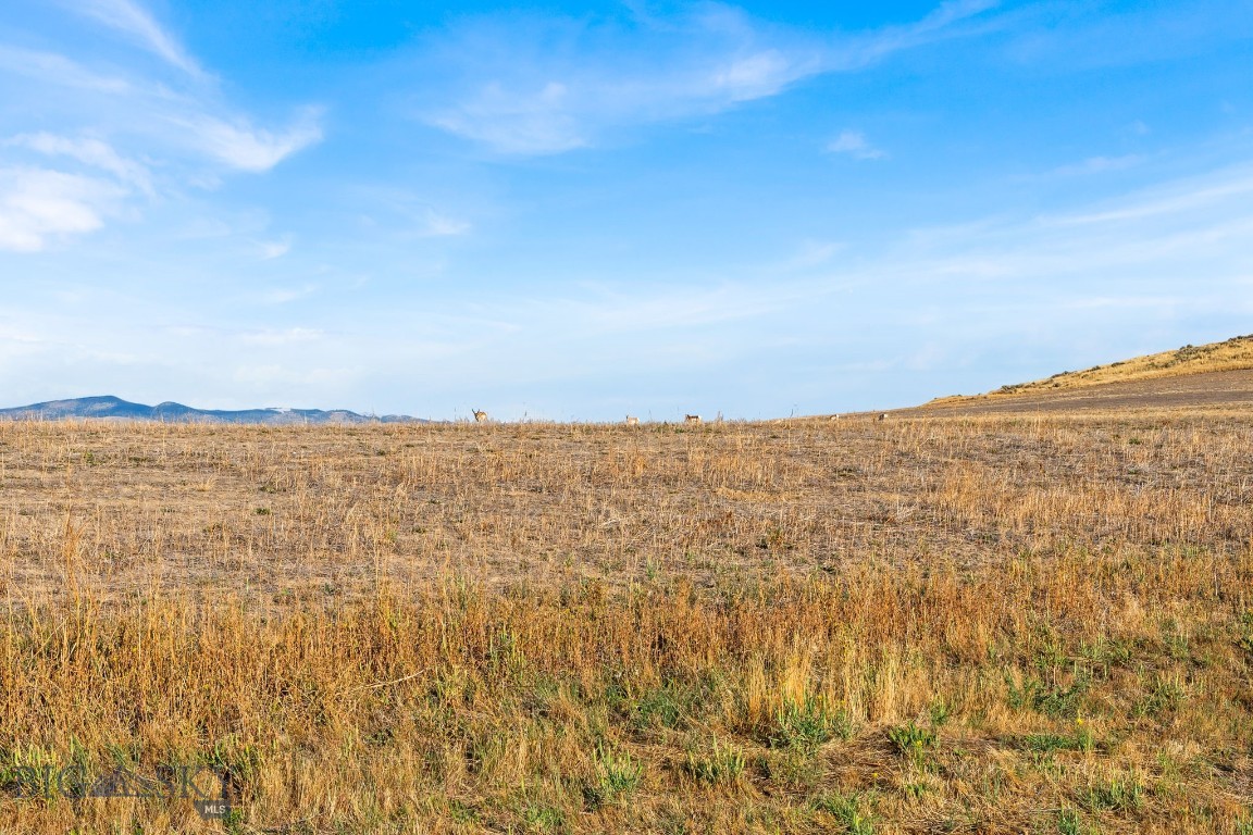 Village at Elk Ridge - Land