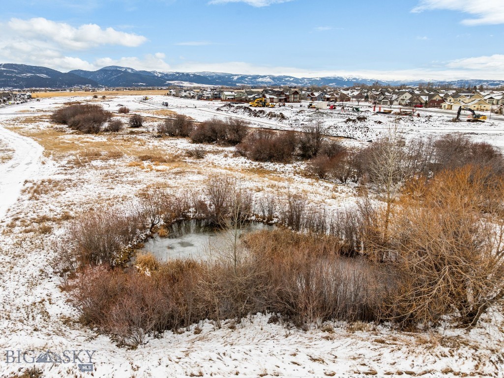 Meadow Bridge - Land
