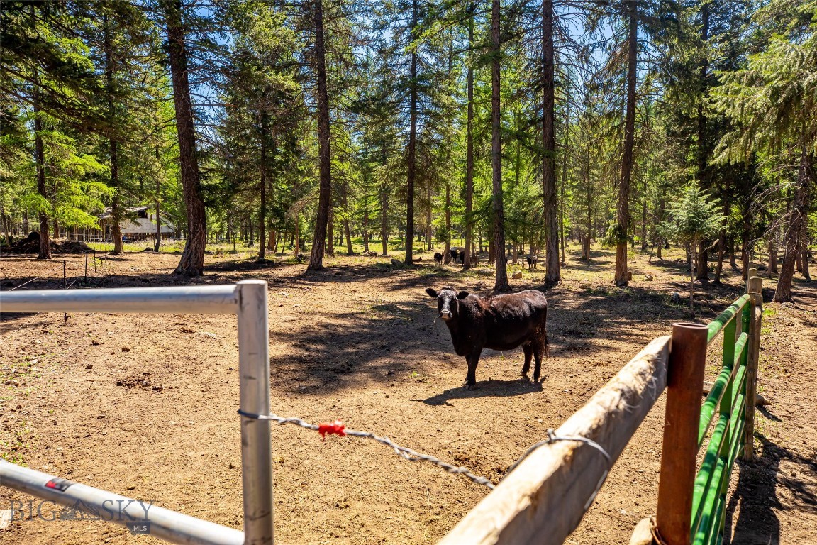 Minor Subdivision - Residential