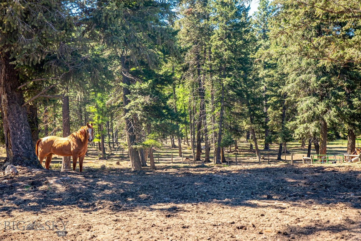 Minor Subdivision - Residential