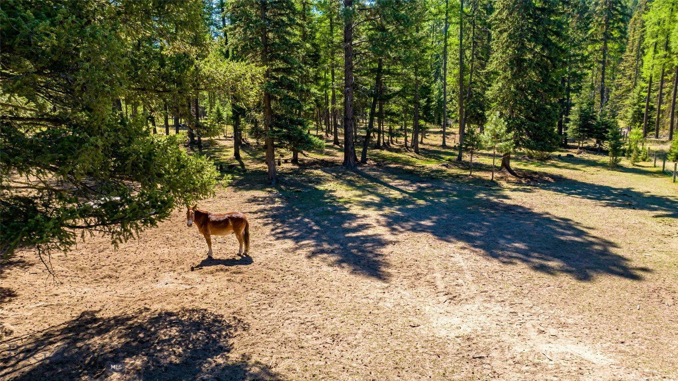 Minor Subdivision - Residential