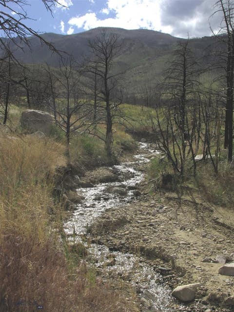 Photo of nhn Ranger Way, Red Lodge, MT 59068 (MLS # 412706)