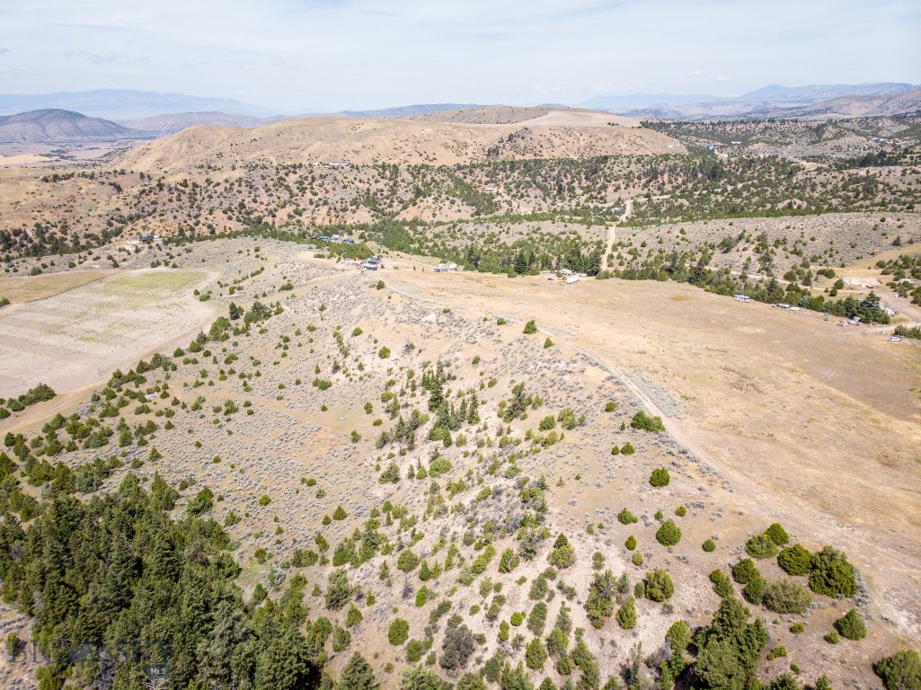 Ponderosa Pines - Land