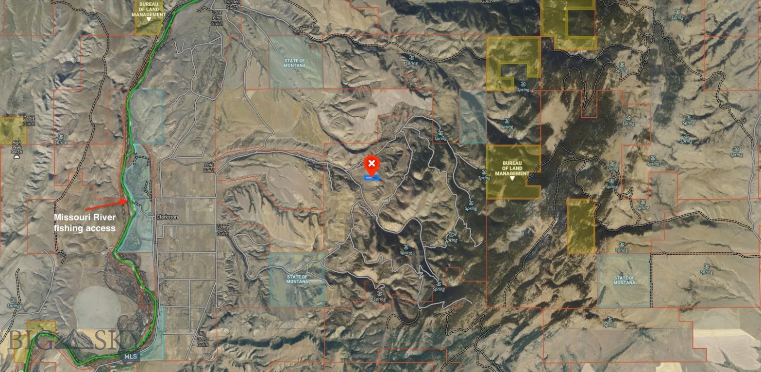 Ponderosa Pines - Land