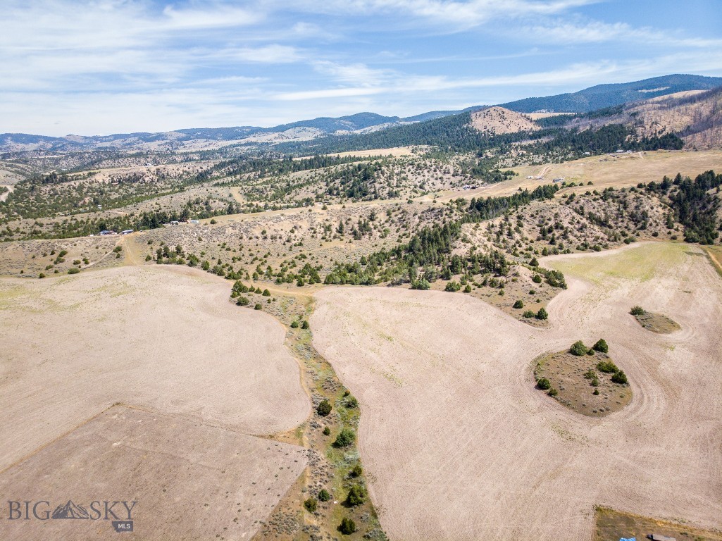Ponderosa Pines - Land