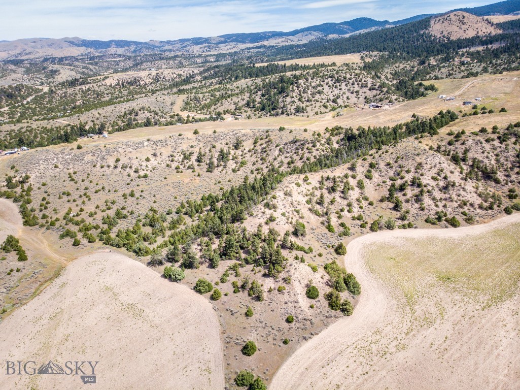 Ponderosa Pines - Land