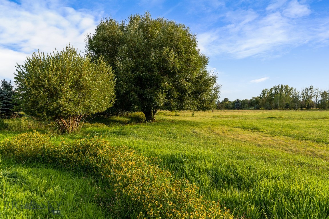 Bridger Lake Meadows - Land