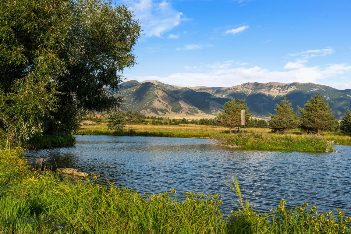 Bridger Lake Meadows - Land