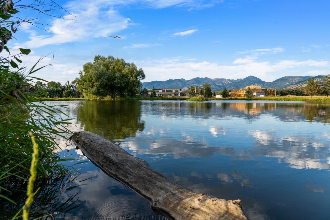 Bridger Lake Meadows - Land