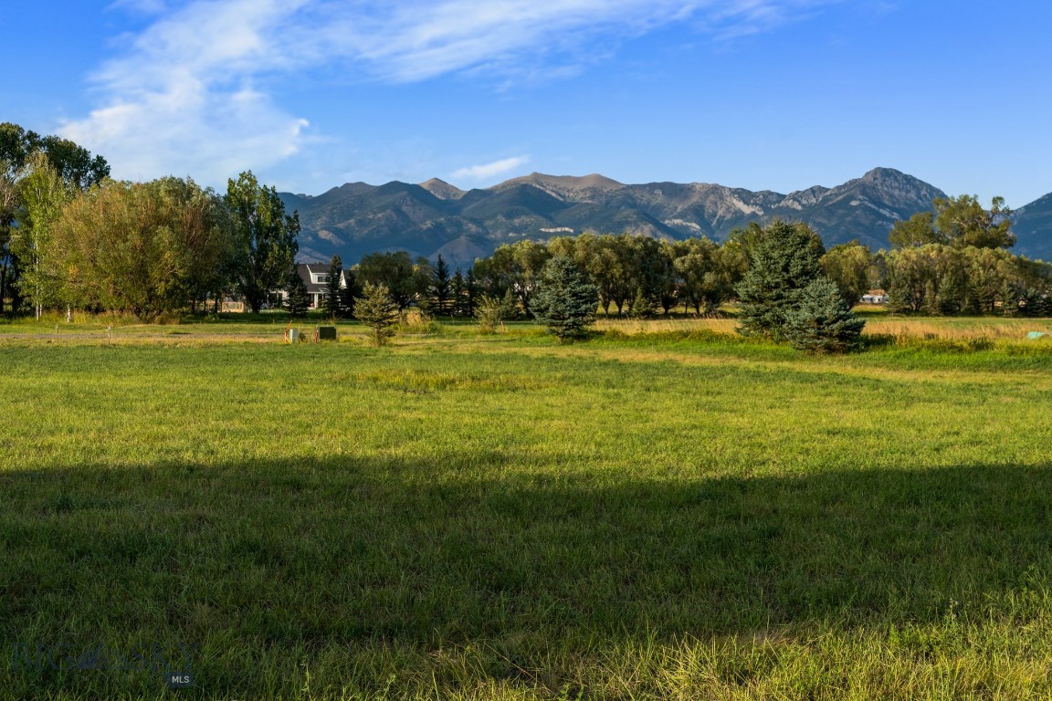 Bridger Lake Meadows - Land