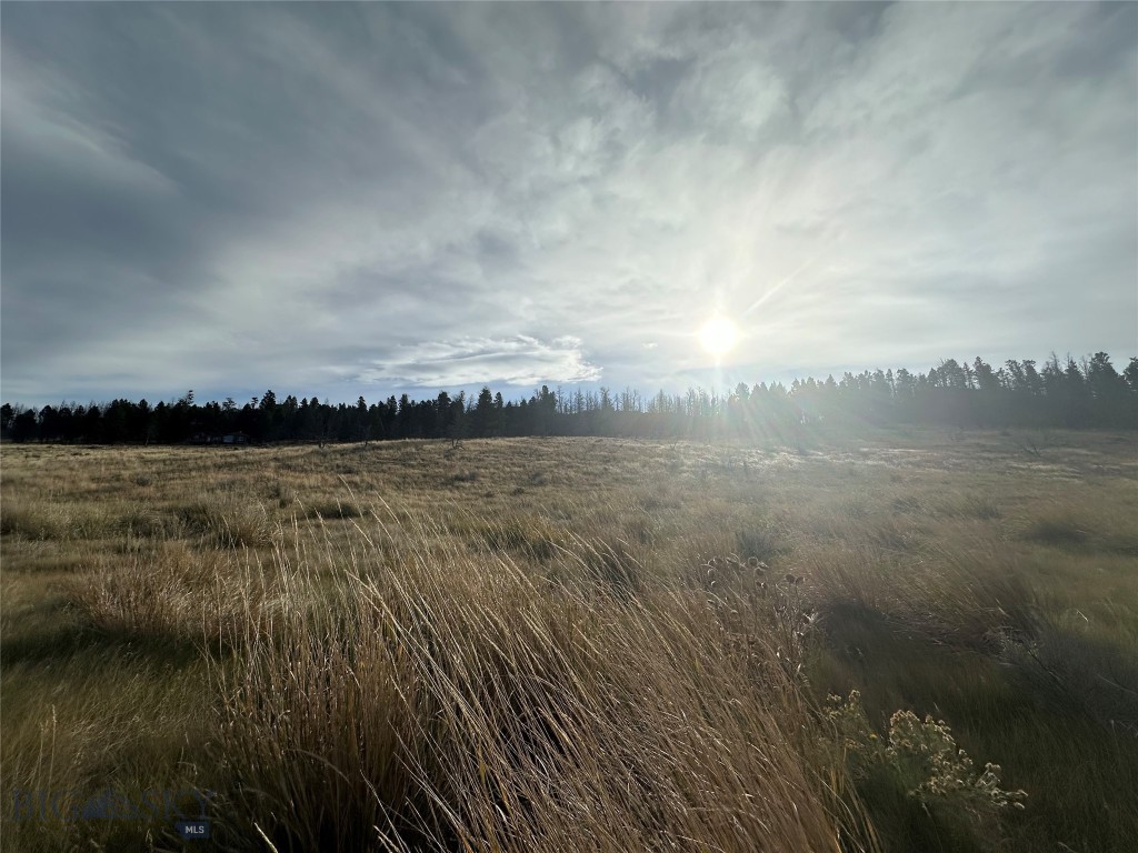 Other - Land