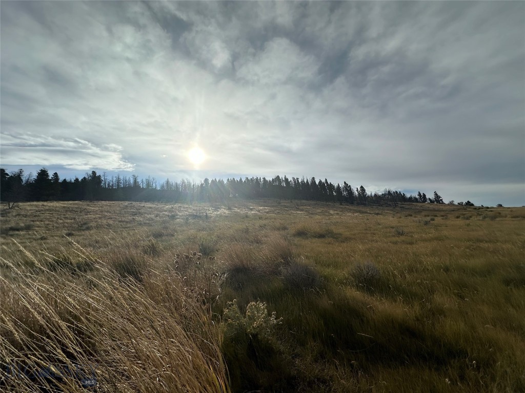 Other - Land