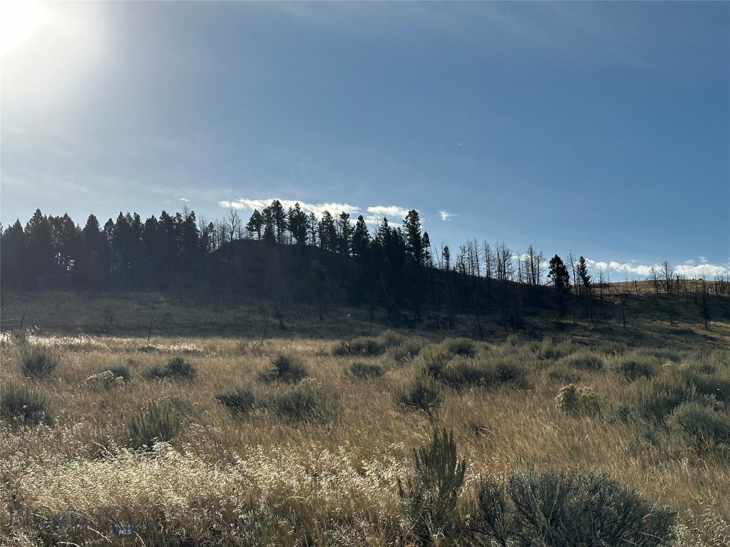 Other - Land