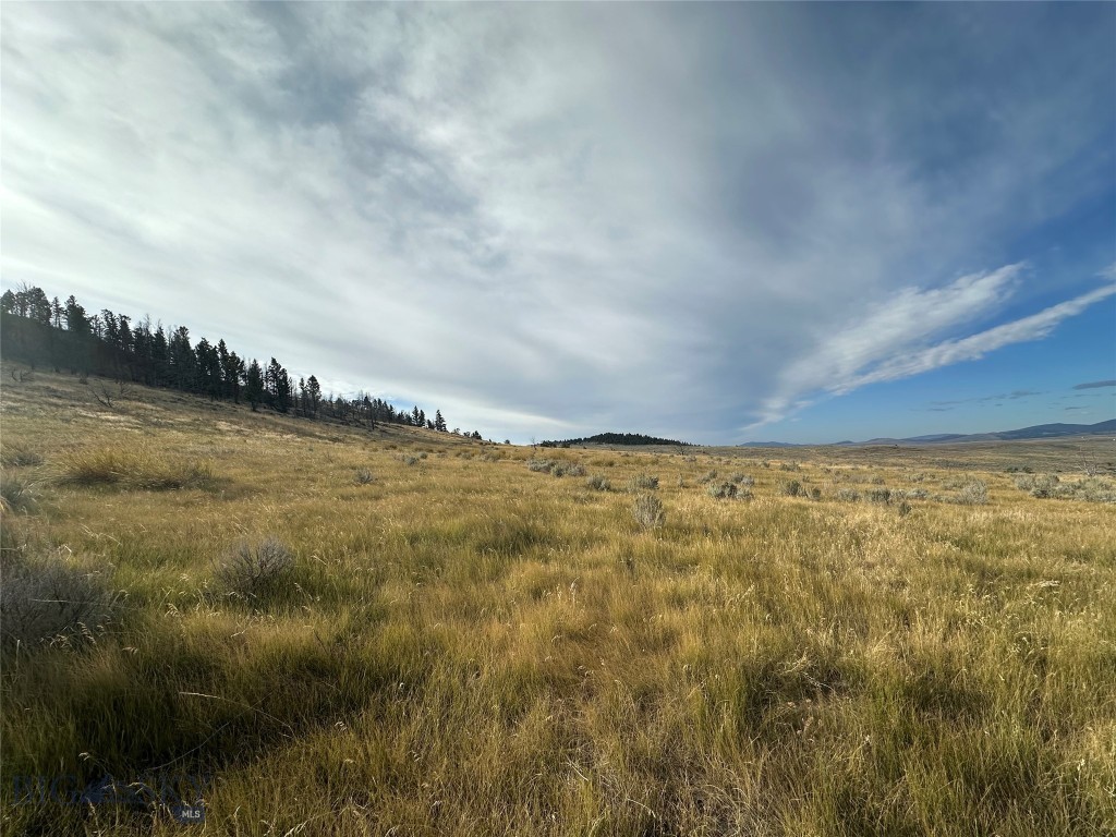 NHN Mayn Creek Road