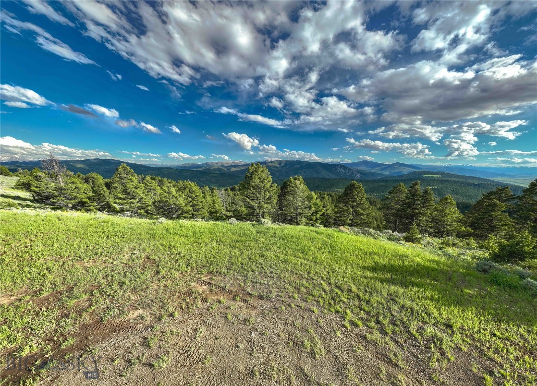 North Pass Ranches - Farm