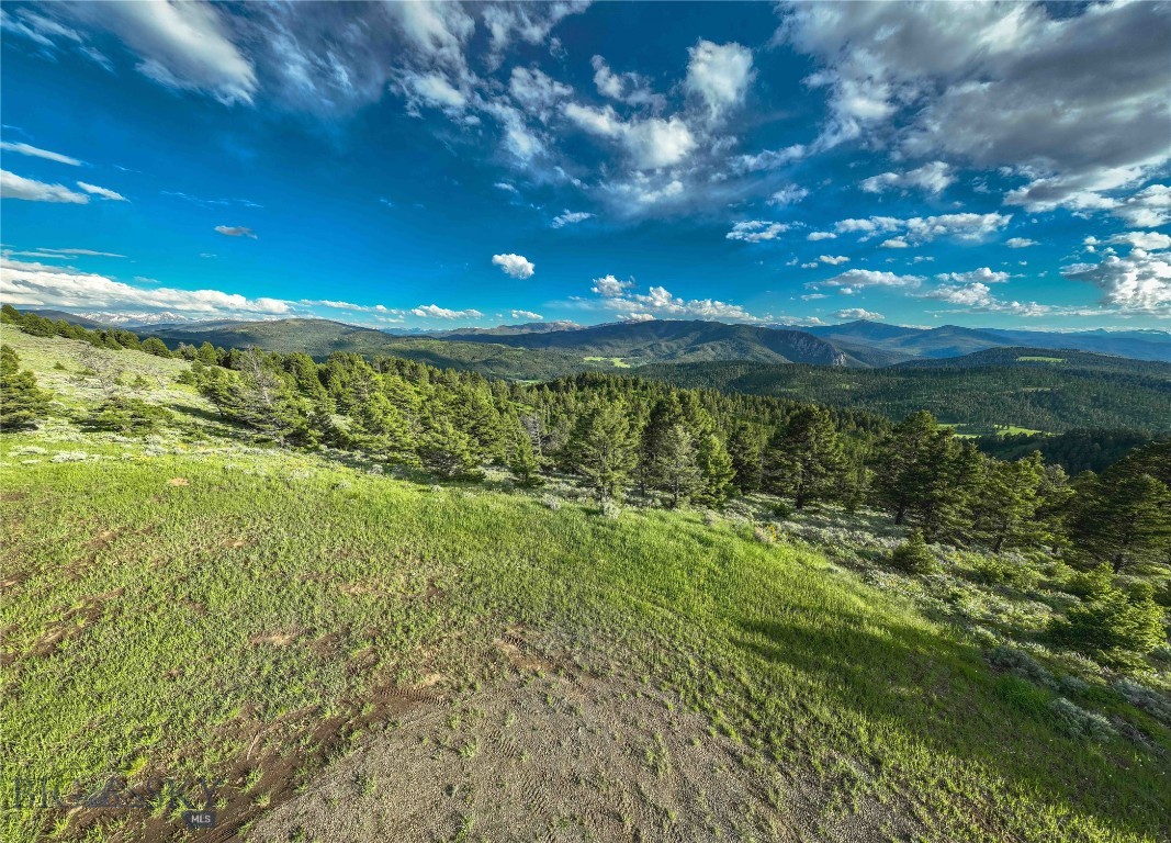 North Pass Ranches - Farm