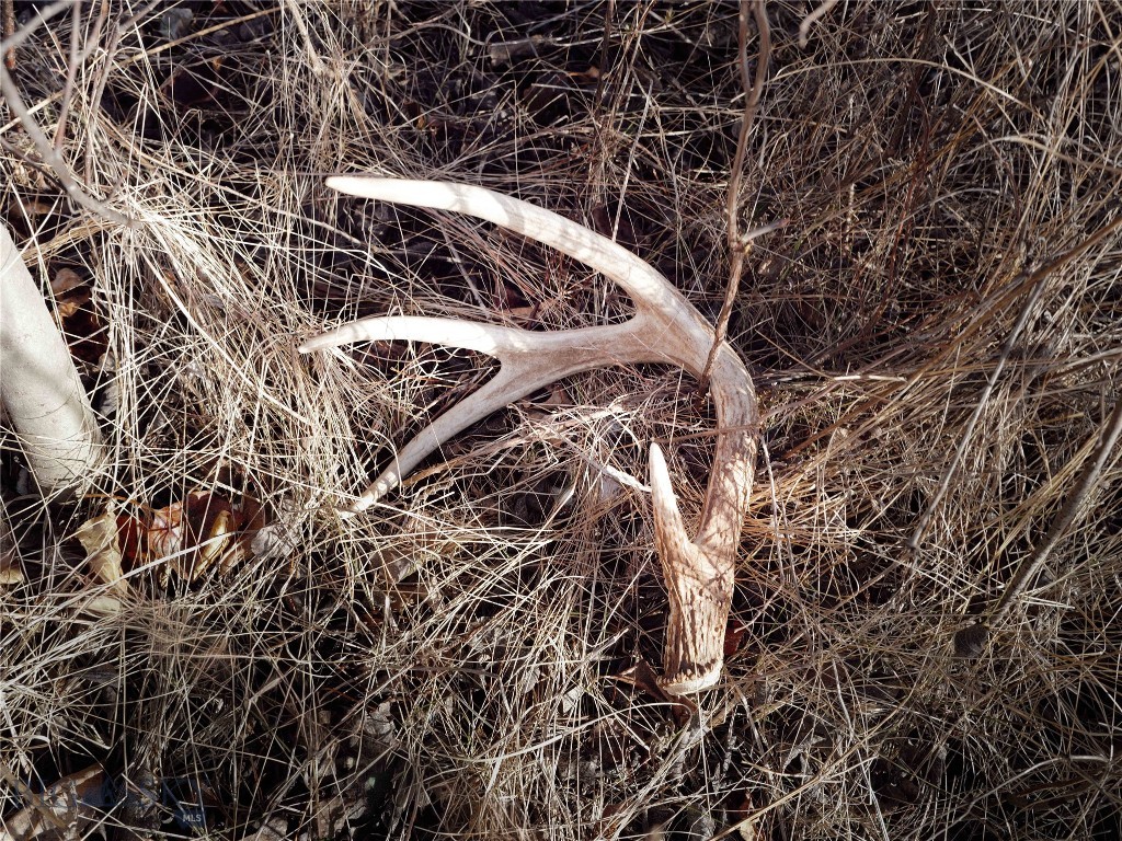 Rainbow - Residential