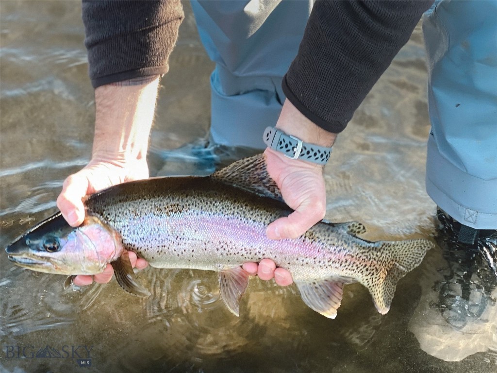 Rainbow - Residential