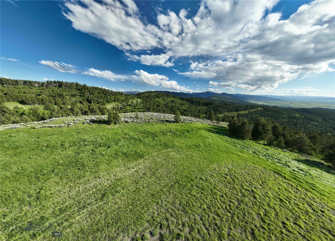 North Pass Ranches - Farm
