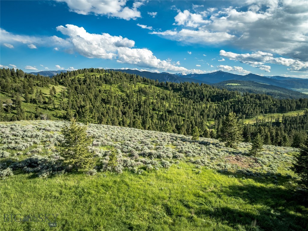 North Pass Ranches - Farm