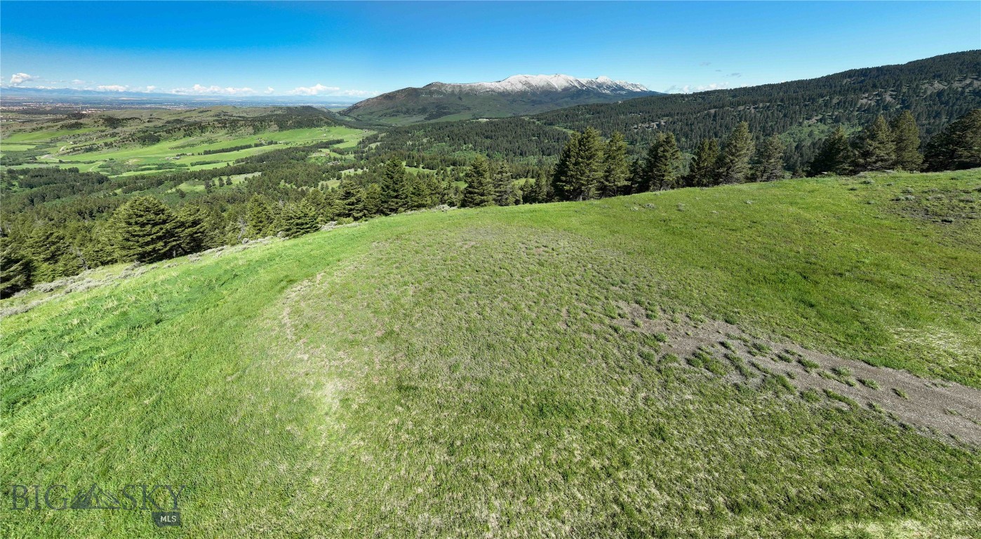 North Pass Ranches - Farm