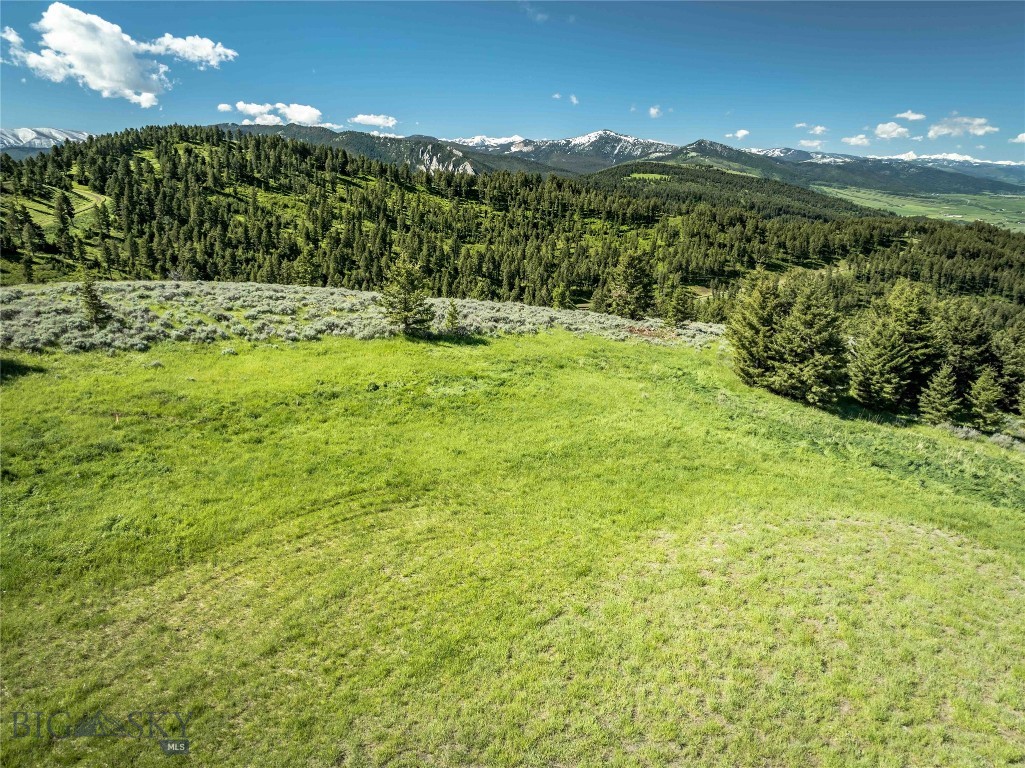 North Pass Ranches - Farm