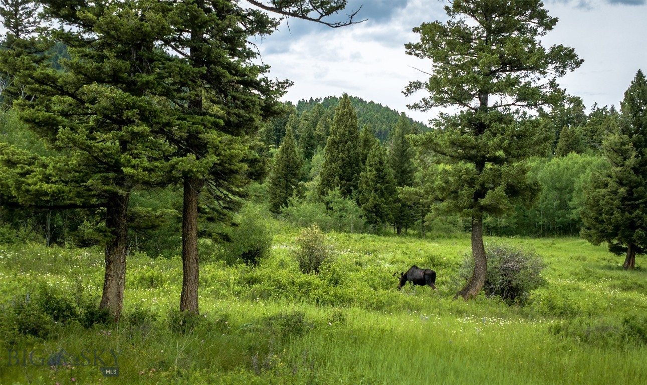 North Pass Ranches - Farm