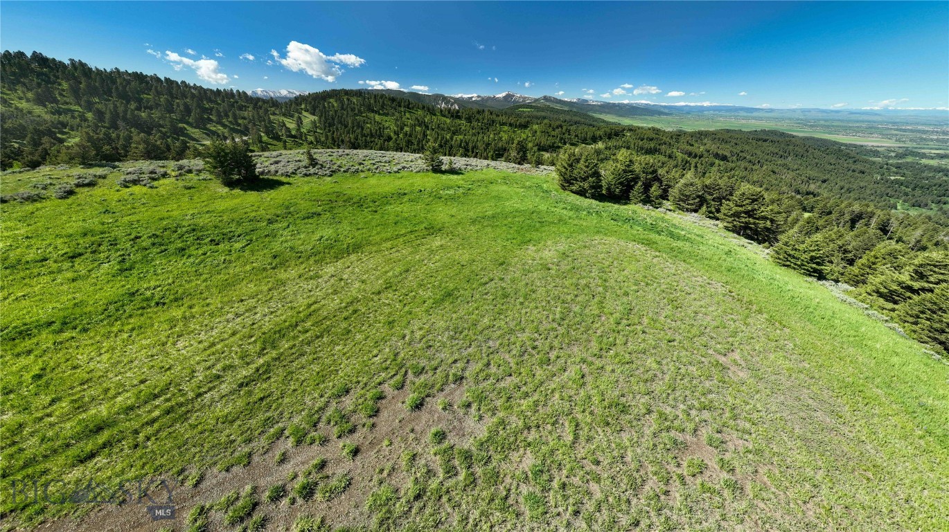 North Pass Ranches - Farm